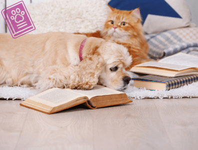 Książki dla dzieci o psach